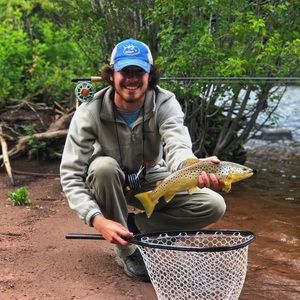 Meet your Posher, Will